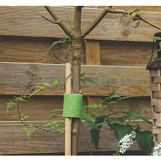 Velcro tree ties being used on plant