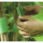 Velcro Tree straps being applied