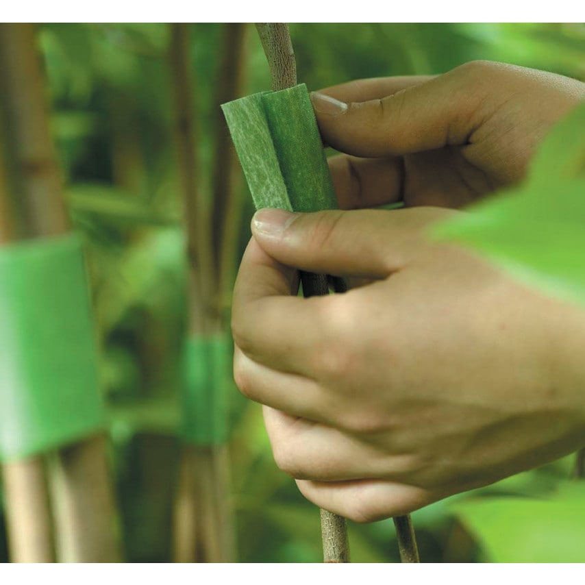 Velcro tree ties being put on plant